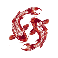 Koi